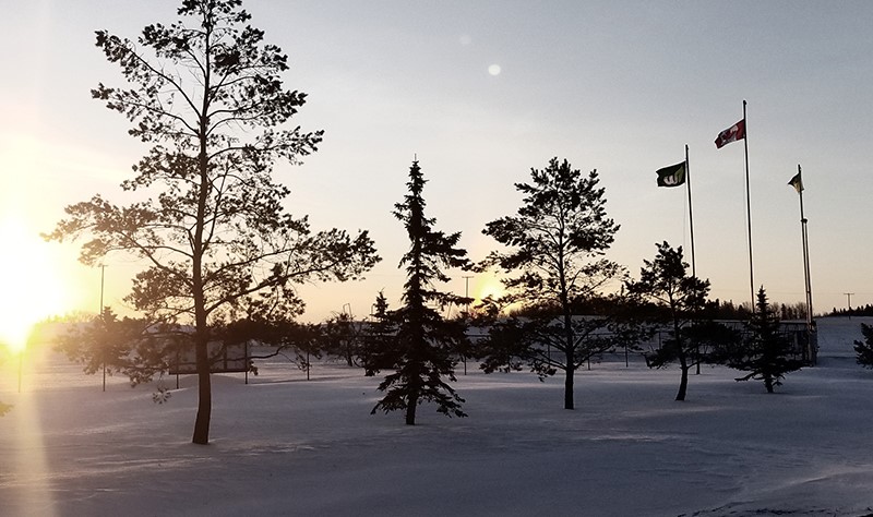 park evergreens in the winter